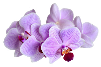 všetko pre krásu, krása pre všetkých